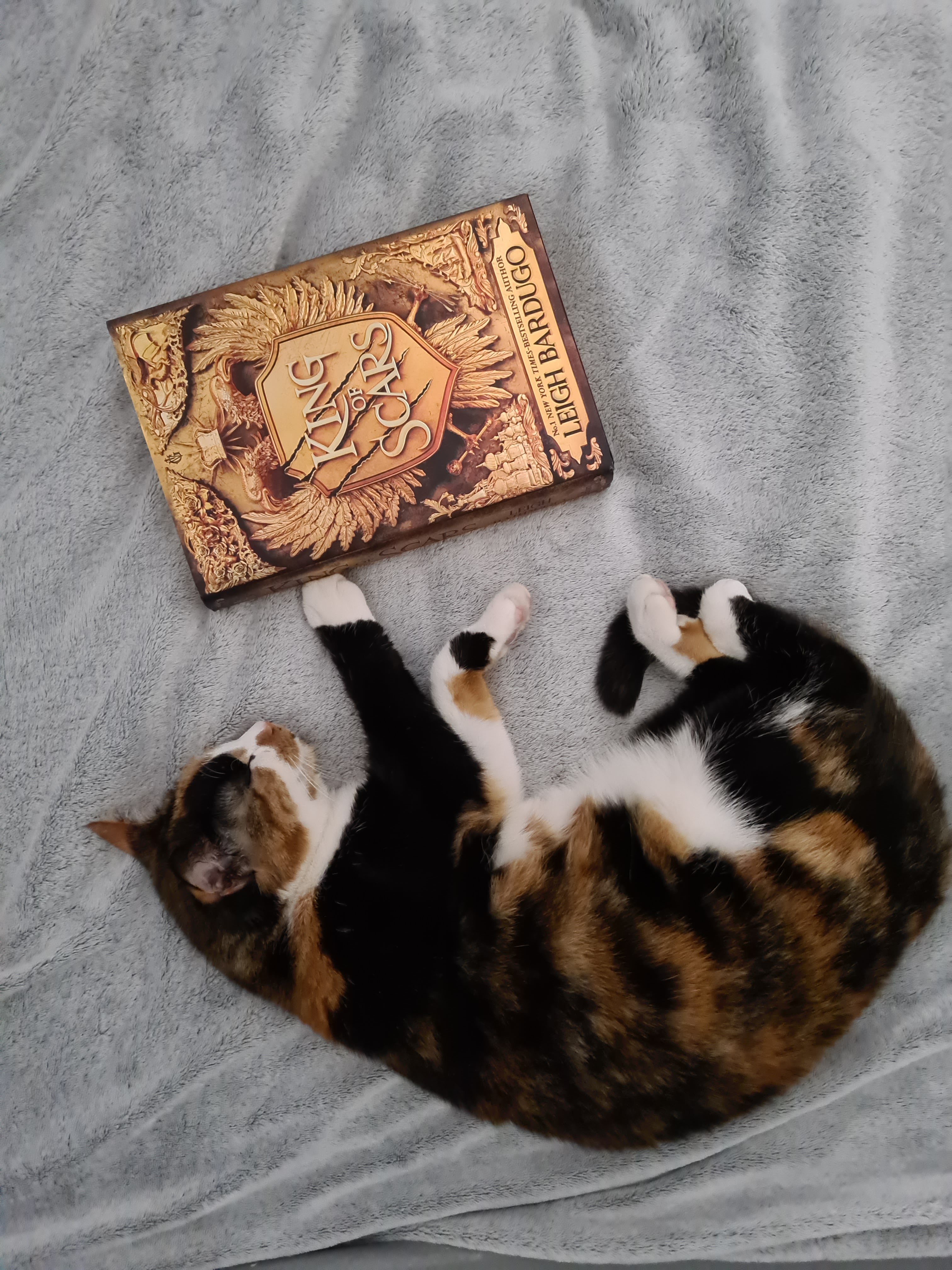 King of Scars Duology by Leigh Bardugo – Review